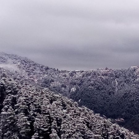 Shimla Regency Hotell Exteriör bild