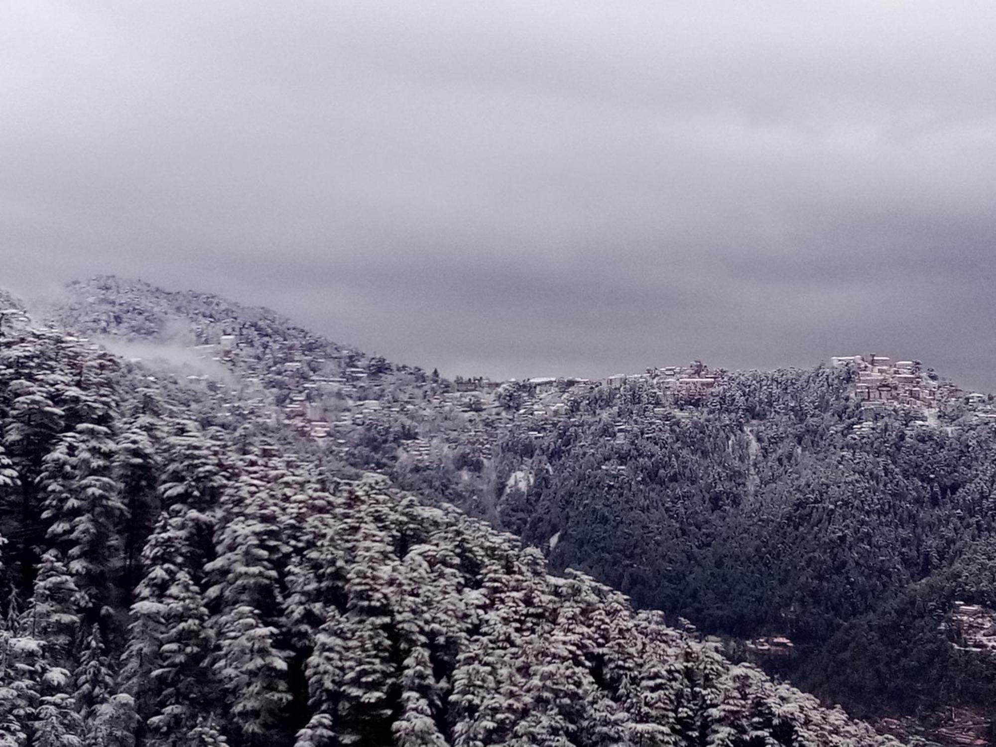 Shimla Regency Hotell Exteriör bild